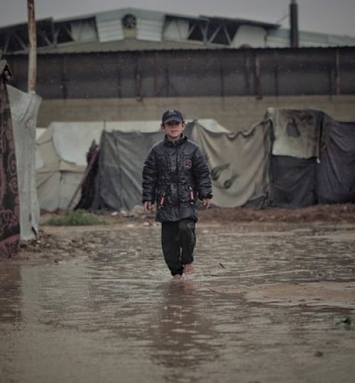 Projects palestine 10014065 640