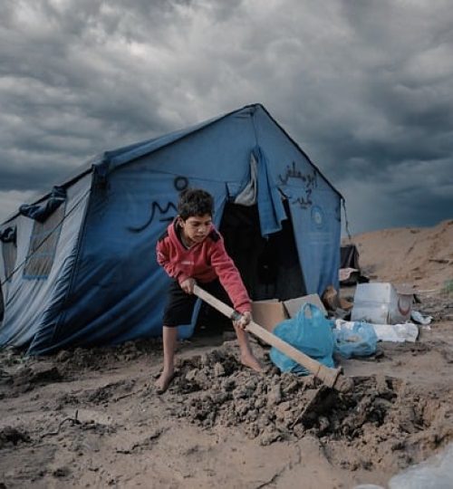 Projects palestine 10053426 640