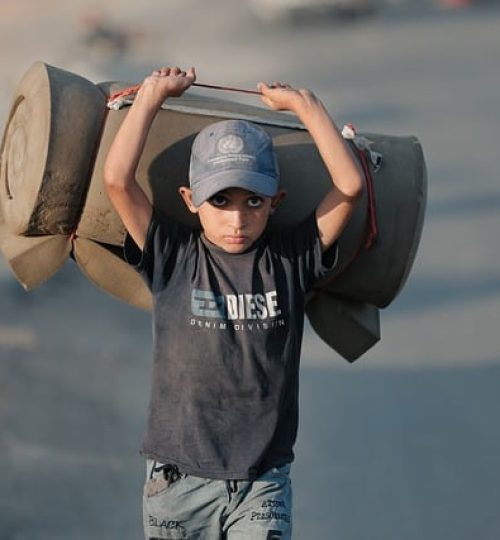 Projects palestine 9843310 640