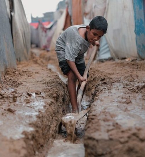 Projects palestine 9978335 640